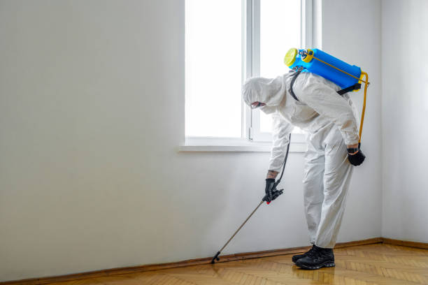 Best Pest Prevention Services  in Ocean Pointe, HI