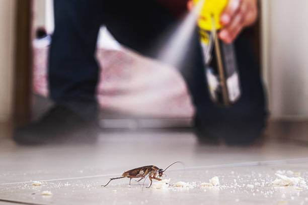 Best Residential Pest Control  in Ocean Pointe, HI